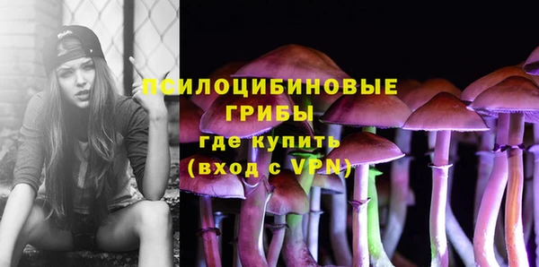прущая мука Верхний Тагил