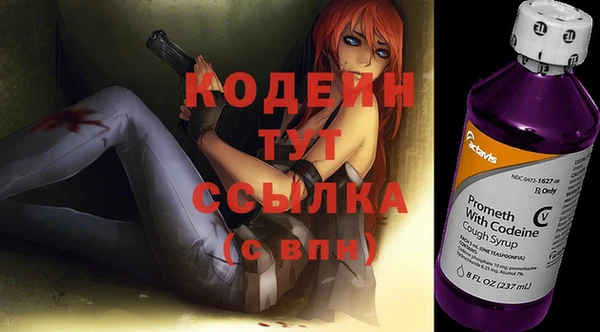 мдпв Бородино