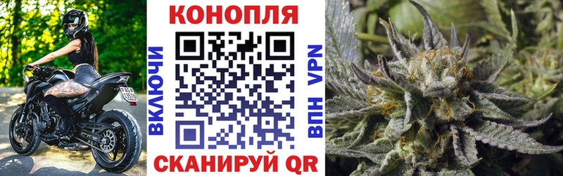 магазин продажи наркотиков  Задонск  МЕГА как войти  Канабис планчик 